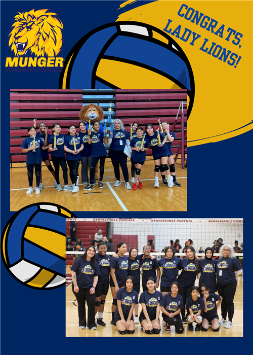 Volleyball Championship Games